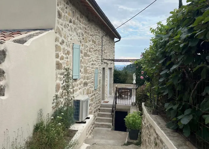 Camilette *